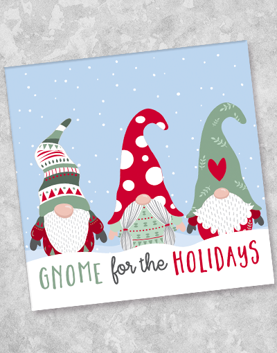 Festive Holiday Gnomes Luncheon Napkins - 44 Count Pack - Christmas Dinner Party Table Decorations for Holiday Gatherings & Family Celebrations
