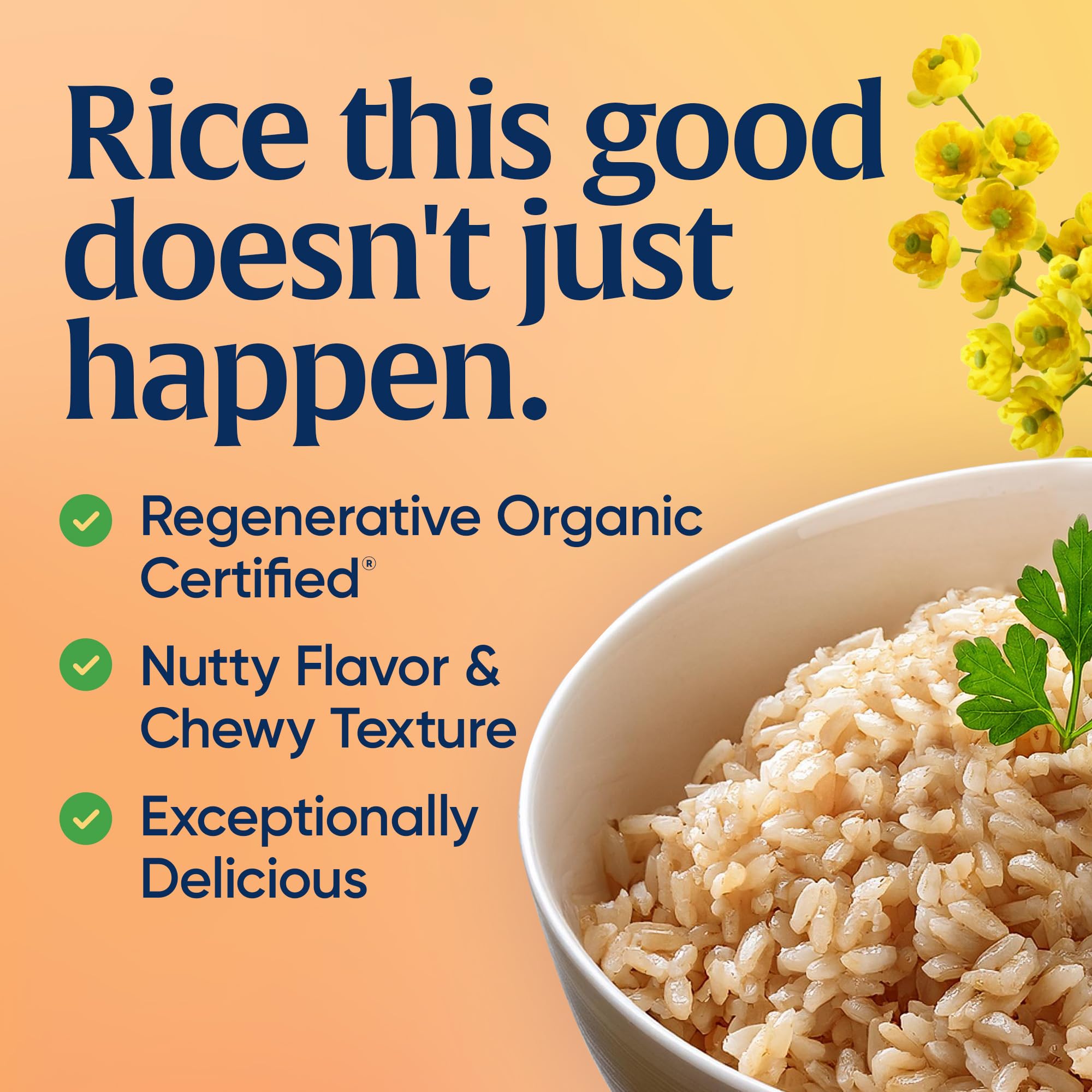 Lundberg Organic Short Grain Brown Rice - Regenerative Organic Certified, High Fiber, Gluten Free, Resealable 32oz Bag | Perfect for Healthy Meals, Vegan Recipes & Meal Prep