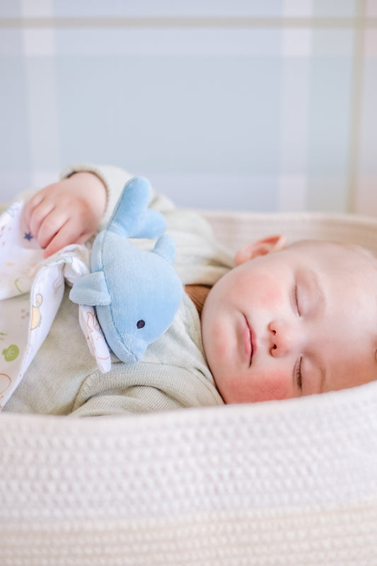 Tikiri Ocean Organic Comforter - Soft & Hypoallergenic Dolphin Print Bedding Set for Kids & Adults - Perfect for Nursery, Bedroom Decor & Cozy Sleep