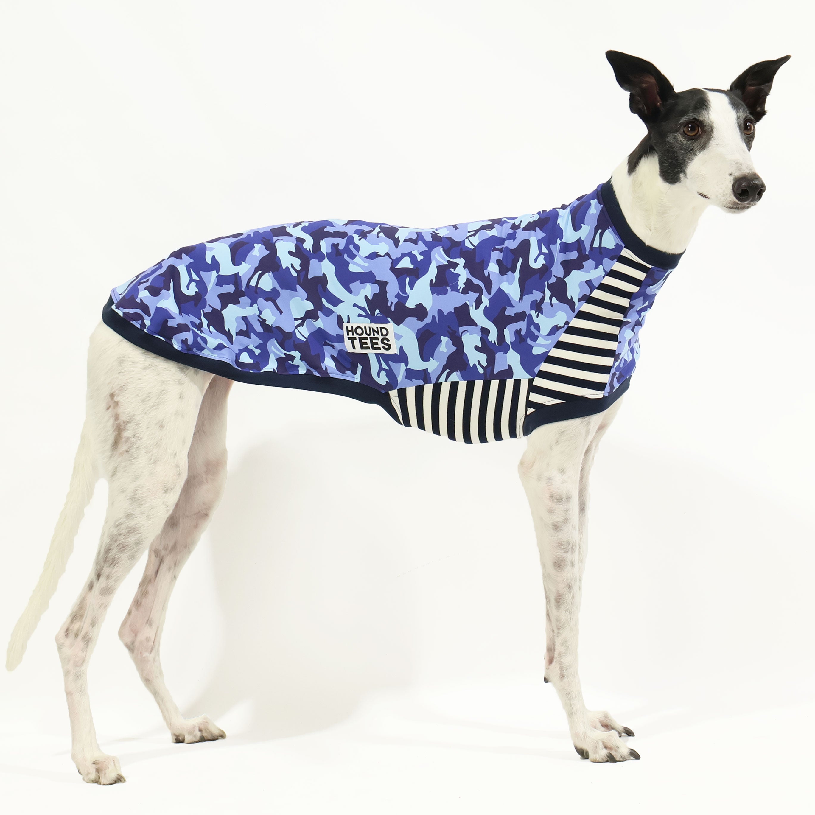 Houndini Blues Greyhound Sleeveless Dog T-Shirt for Greyhound Lovers - Perfect for Summer Walks & Dog Park Outings