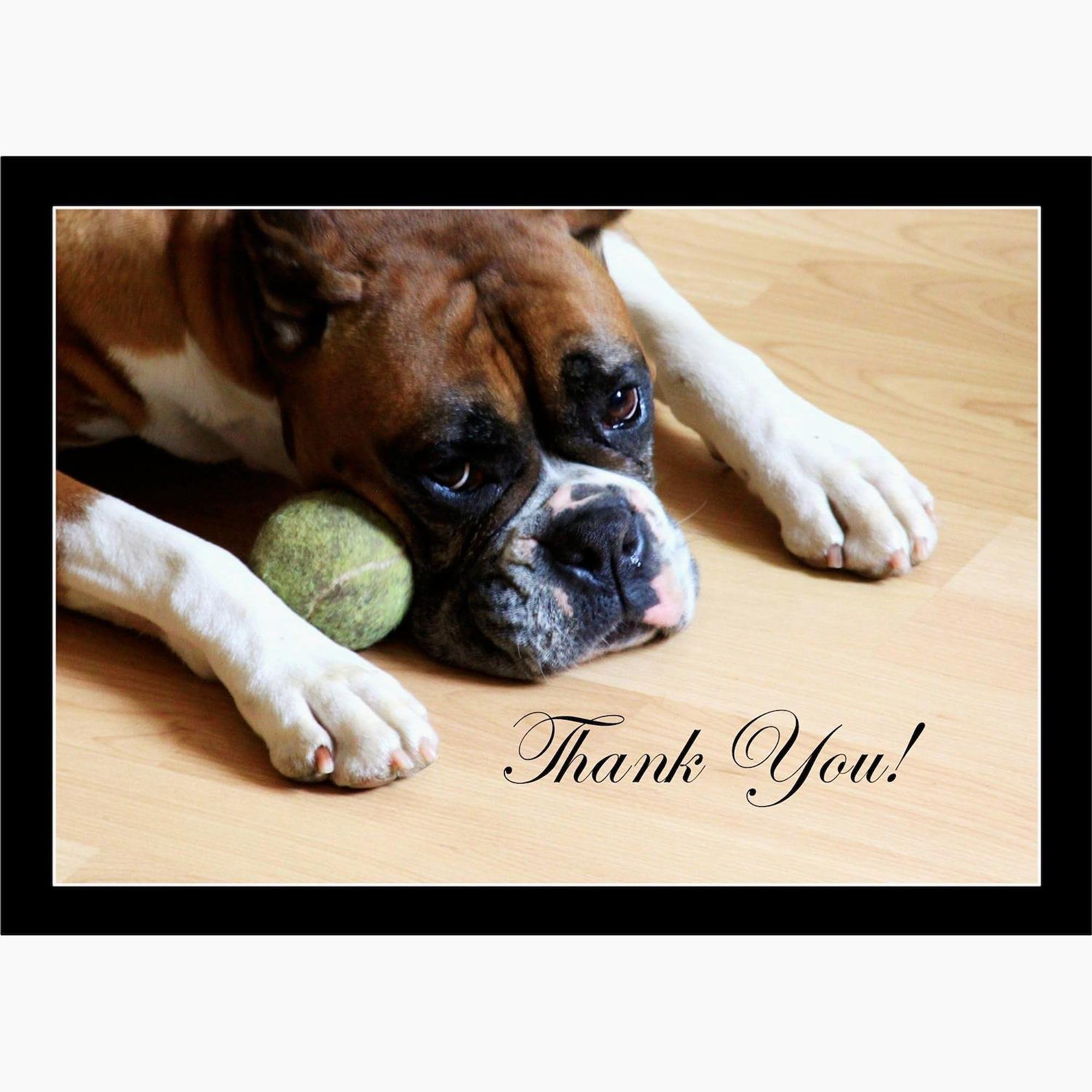 Boxer Dog Thank You Greeting Cards (20-Pack) - Blank Inside Note Cards for Birthdays & Appreciation - Matte Finish for Elegant Gifting | Perfect for Pet Lovers, Thank You Notes & Special Occasions