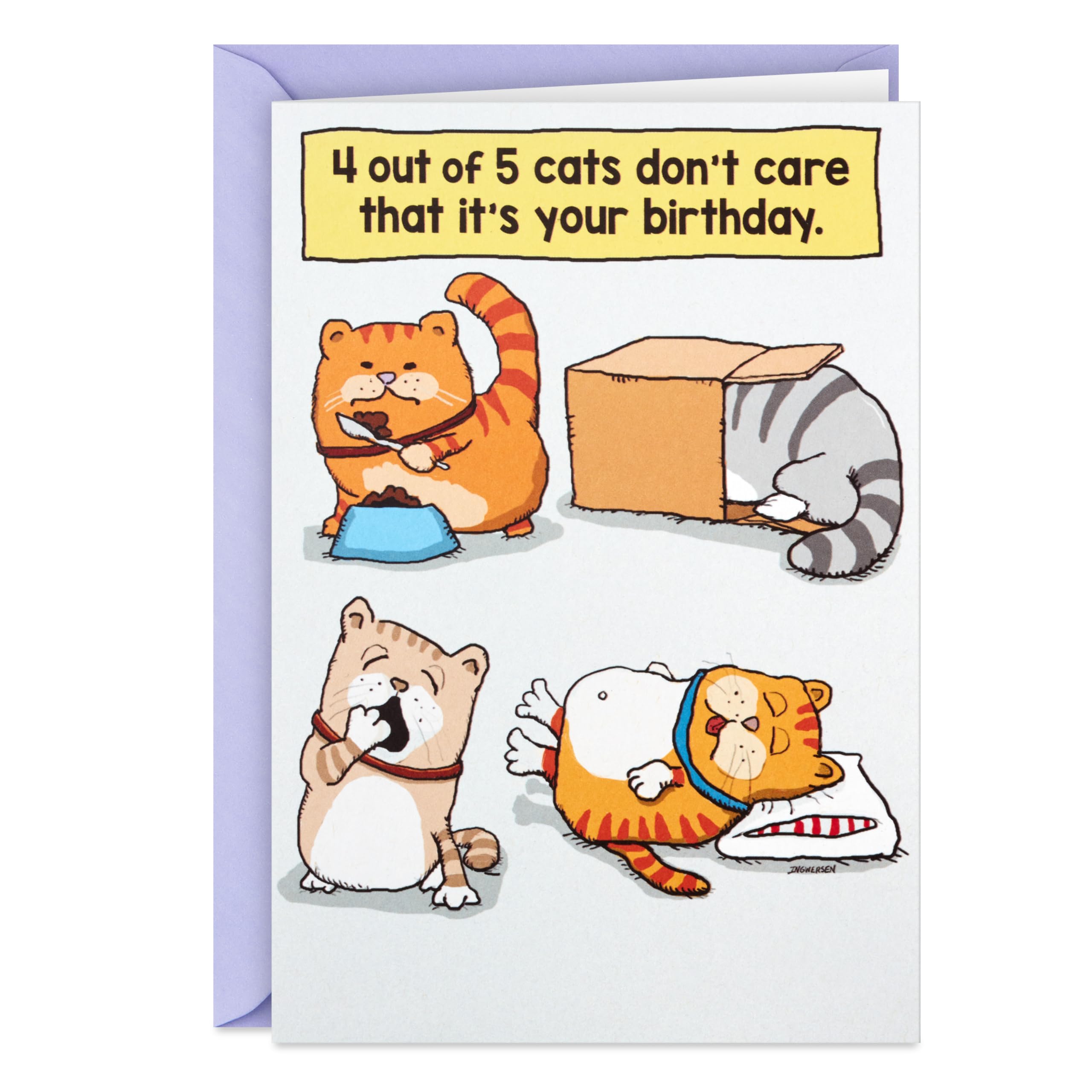 Hallmark Shoebox Funny Birthday Card - Cats Don't Care Humorous Cat Lover Greeting Card | Perfect for Cat Owners, Animal Lovers & Birthday Gifts