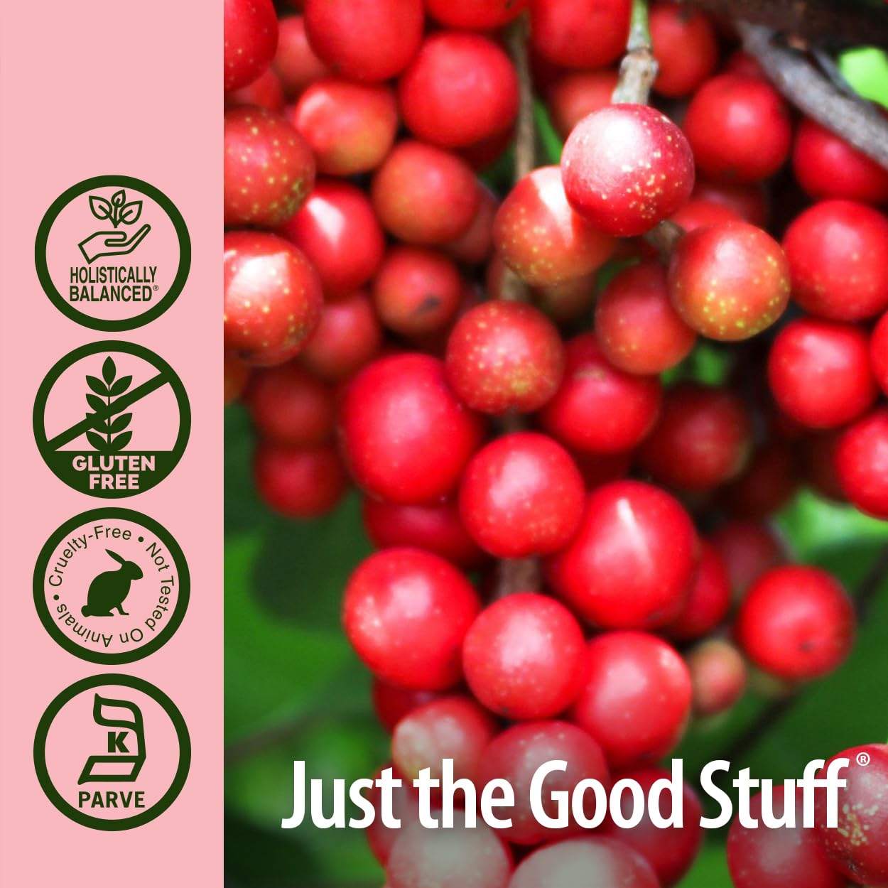 Nature's Answer Schisandra Berry Extract with Organic Alcohol, 1-Fluid Ounce | Supports Digestive Health & Cognitive Function | Natural Stress Relief Supplement | Great for Daily Wellness & Mental Clarity