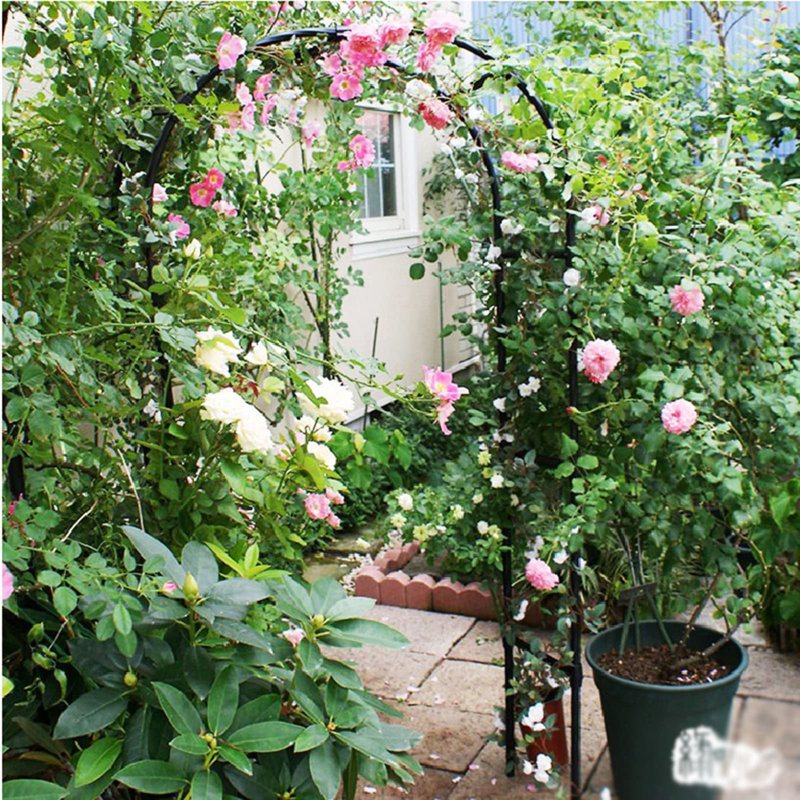 Black Round Top Garden Arch - 9.8x7.9FT Metal Wedding Arbor for Climbing Plants, Vines & Flowers | Outdoor Patio Decor, Bridal Party Backdrop & Garden Trellis | Perfect for Weddings, Vine Support & Backyard Landscaping