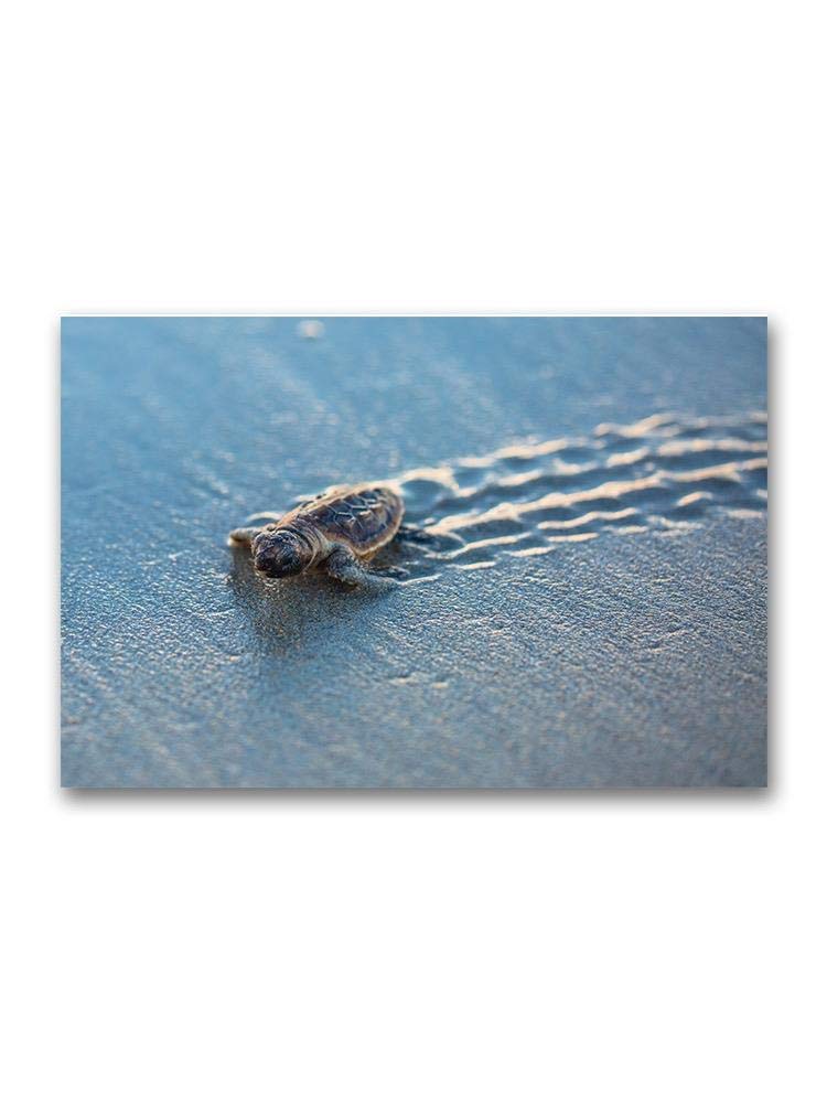 Smartprints Baby Sea Turtle At Beach Poster - Cute Nursery Wall Art, Ocean Themed Kids Room Decor, Perfect for Baby Showers & Coastal Home Decor