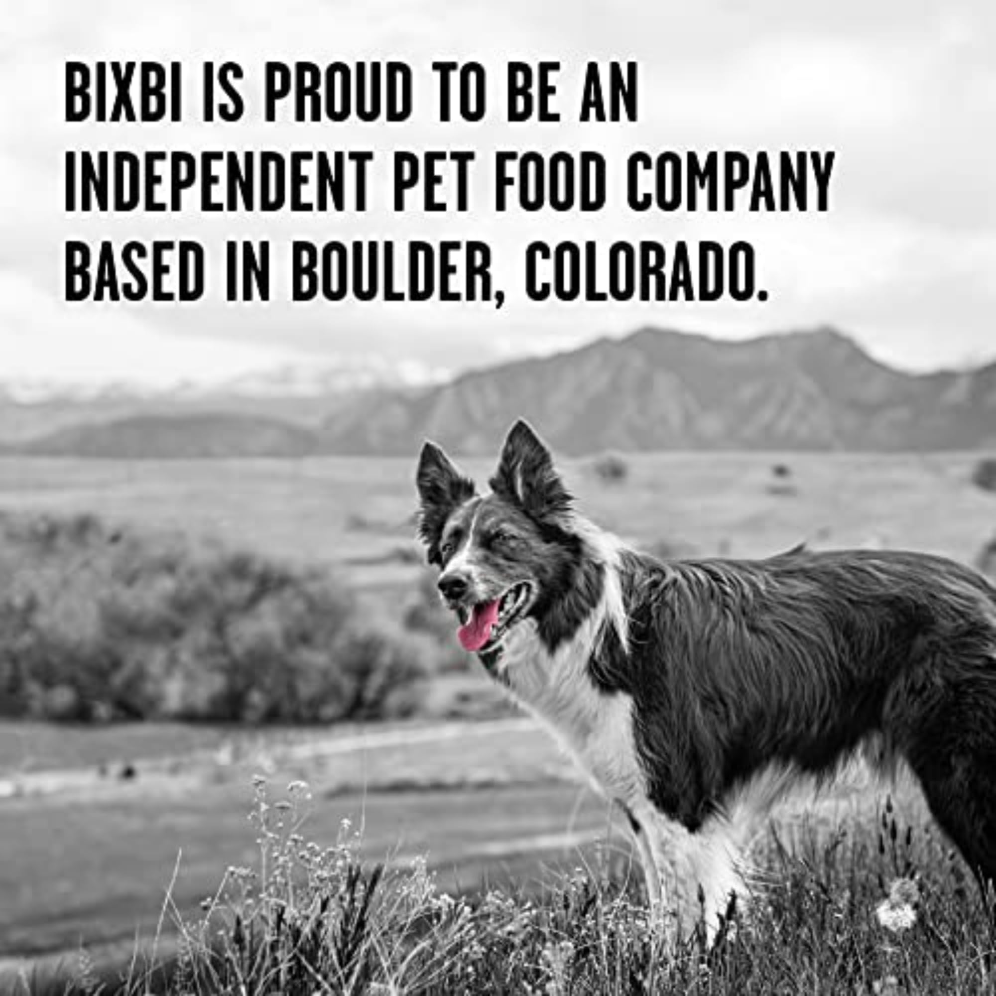 BIXBI Rawbble Freeze Dried Dog Food - Lamb Recipe 12oz | 97% Meat & Organs | Grain-Free, No Fillers | Raw Dog Food for Meals, Treats & Toppers | Made in USA | Perfect for Travel, Camping & Emergency Pet Food Storage