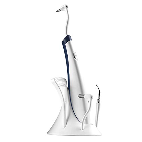 QIYI Electric Dental Scaler - Professional Teeth Cleaning Kit with LED Light, 12000 RPM Vibration, 5 Removable Heads for Plaque & Tartar Removal | Perfect for Home Oral Care & Teeth Whitening