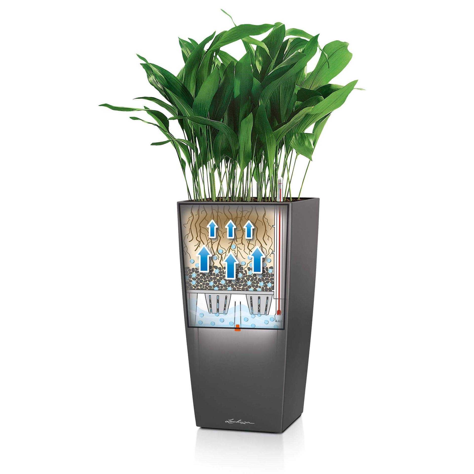 Lechuza CUBICO Premium 40 Self-Watering Plant Pot - Scarlet Red High Gloss (Model 18193) | Indoor Flower Pots for Home & Office Decor | Perfect for Living Room, Balcony & Garden