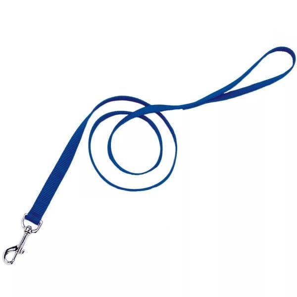 Durable Coastal Single Ply Dog Leash - Strong & Lightweight for Small to Medium Dogs - Perfect for Beach Walks, Hiking & Outdoor Adventures