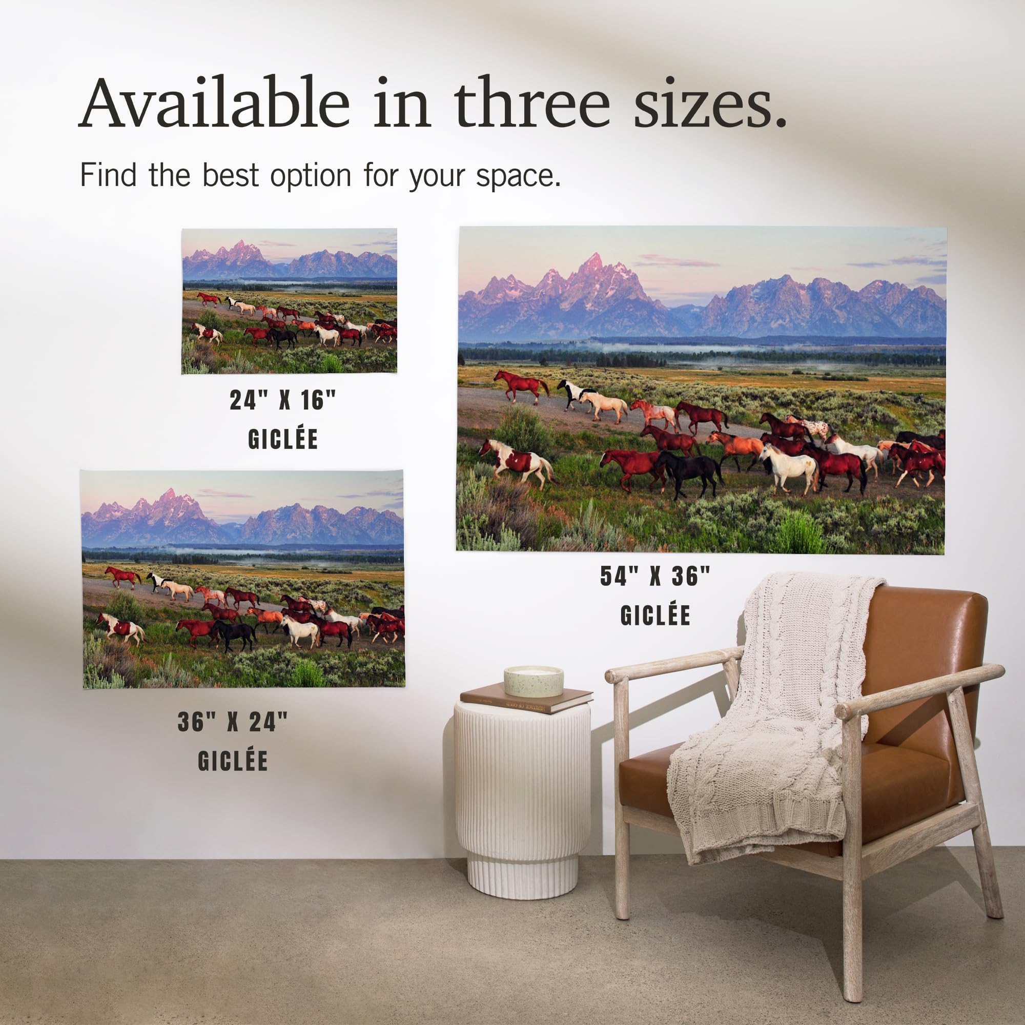 Lantern Press 16x24 Inch Giclee Art Print - Wild Horses and Sunrise Landscape Wall Decor - Perfect for Living Room, Bedroom & Office