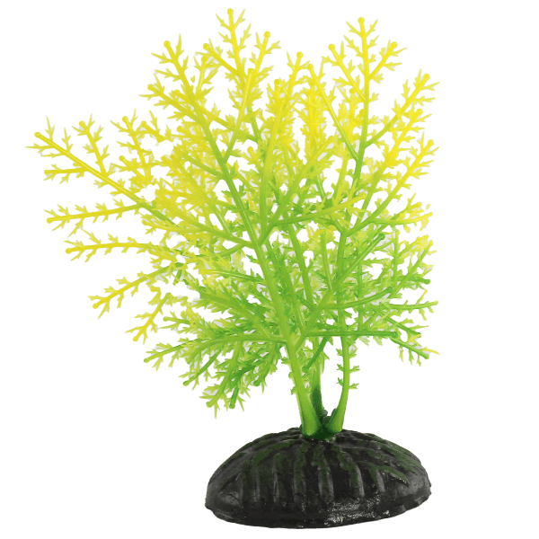 Premium Yellow & Green Hygrophila Plastic Betta Plants (Set of 4) - Artificial Aquarium Decor for Betta Fish Tanks - Perfect for Fish Bowls, Aquascaping & Tropical Fish Habitats