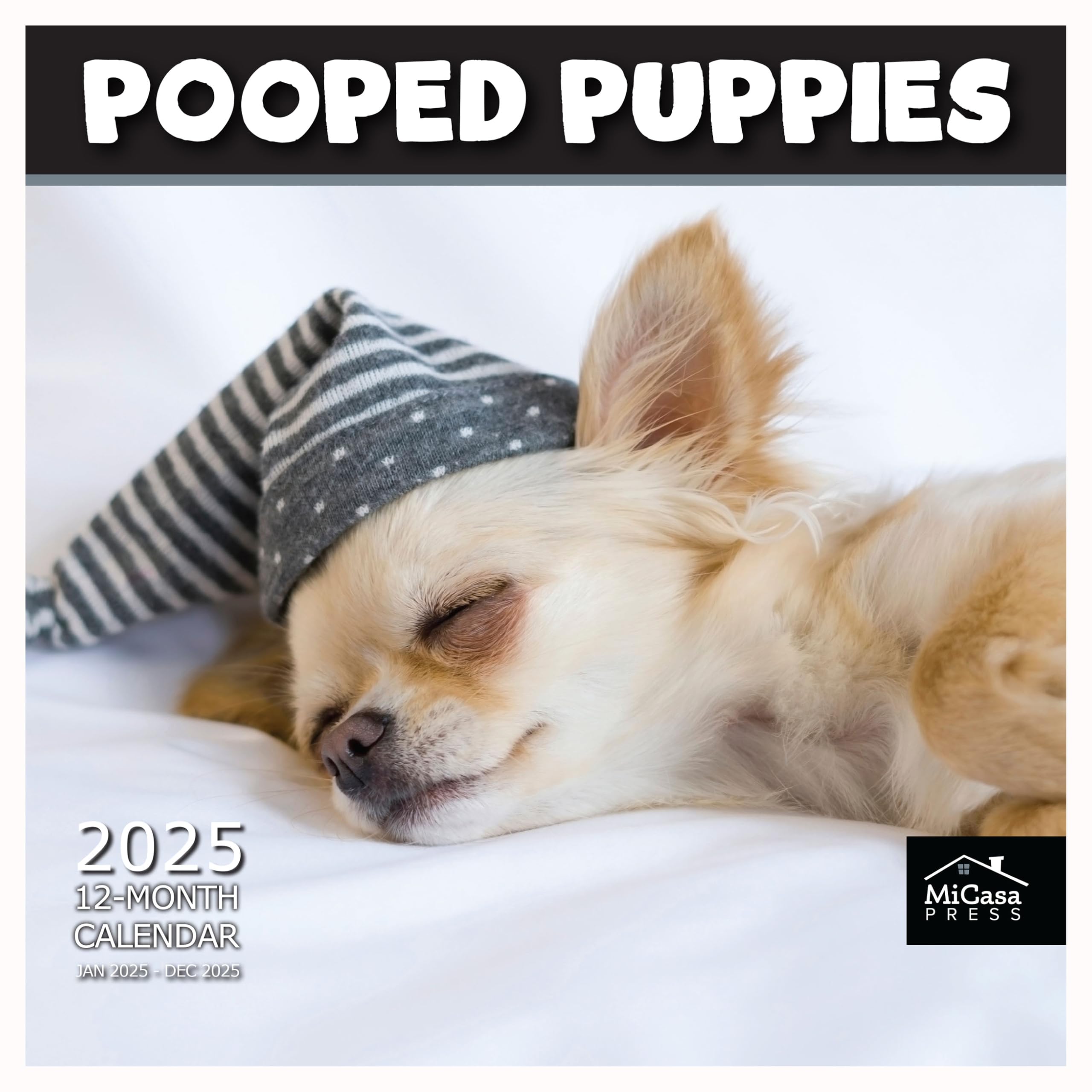MICASA Pooped Puppies 2025 Wall Calendar - 12 Month Dog Lover Calendar (12