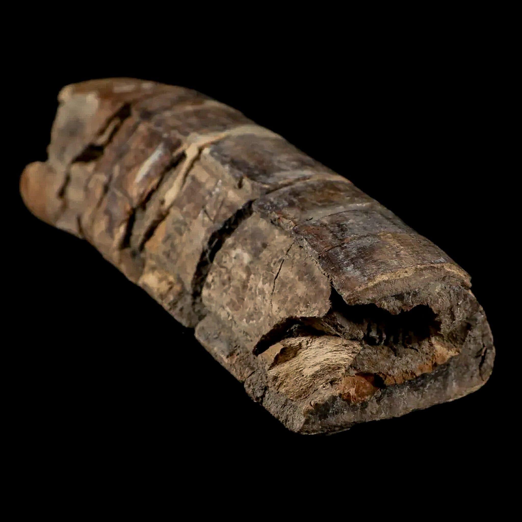 5.6