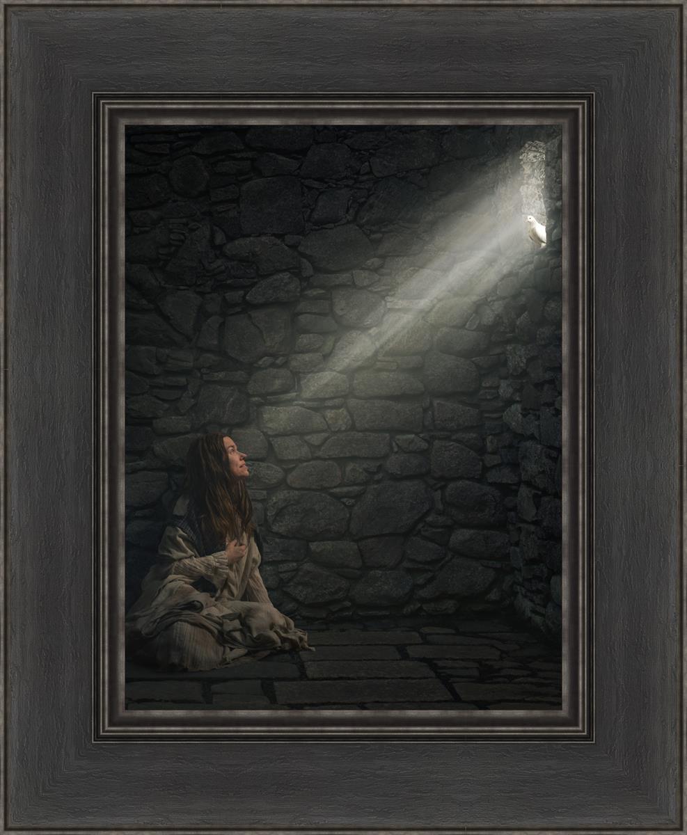 A Captive's Hope - Inspirational Novel for Overcoming Adversity | Perfect for Book Clubs, Personal Growth & Motivational Reading