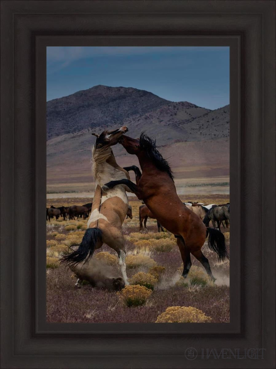 Desert Duel 1 by Greg Sargent - Western Adventure Novel for Adults | Perfect for Book Clubs, Gifts & Western Fiction Fans