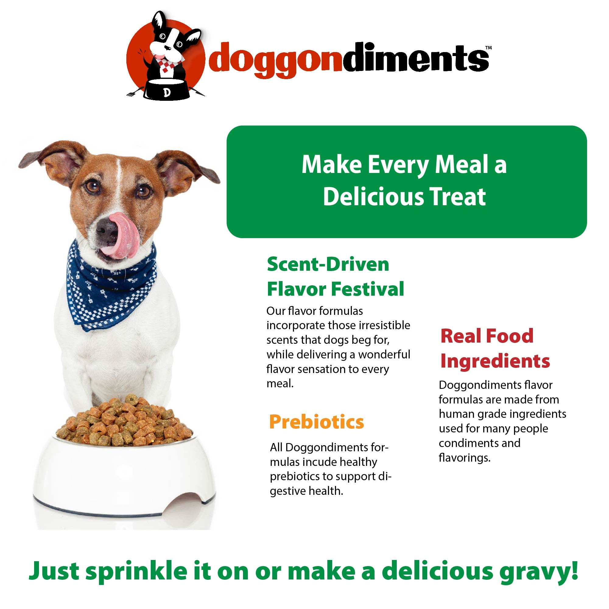 Southern Fried Chicken Flavor Dog Food Topper Powder - Natural Meal Enhancer for Small & Large Breed Dogs - Perfect for Picky Eaters & Kibble Topping