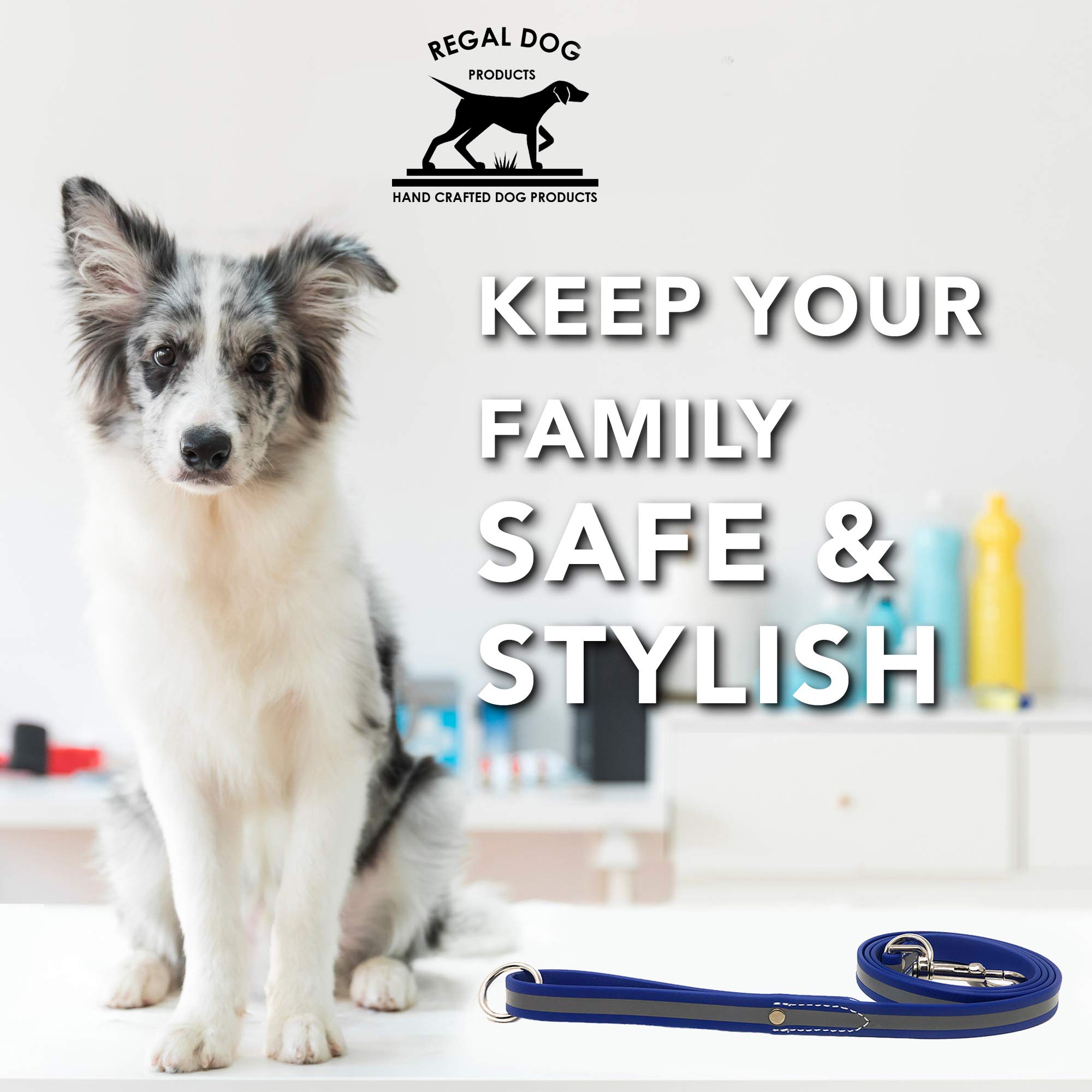 Reflective Dog Leash 5ft - Strong & Lightweight Pet Lead with Easy Collar Hook for Small, Medium, Large & XL Dogs - Blue - Perfect for Night Walks, Jogging & Outdoor Adventures