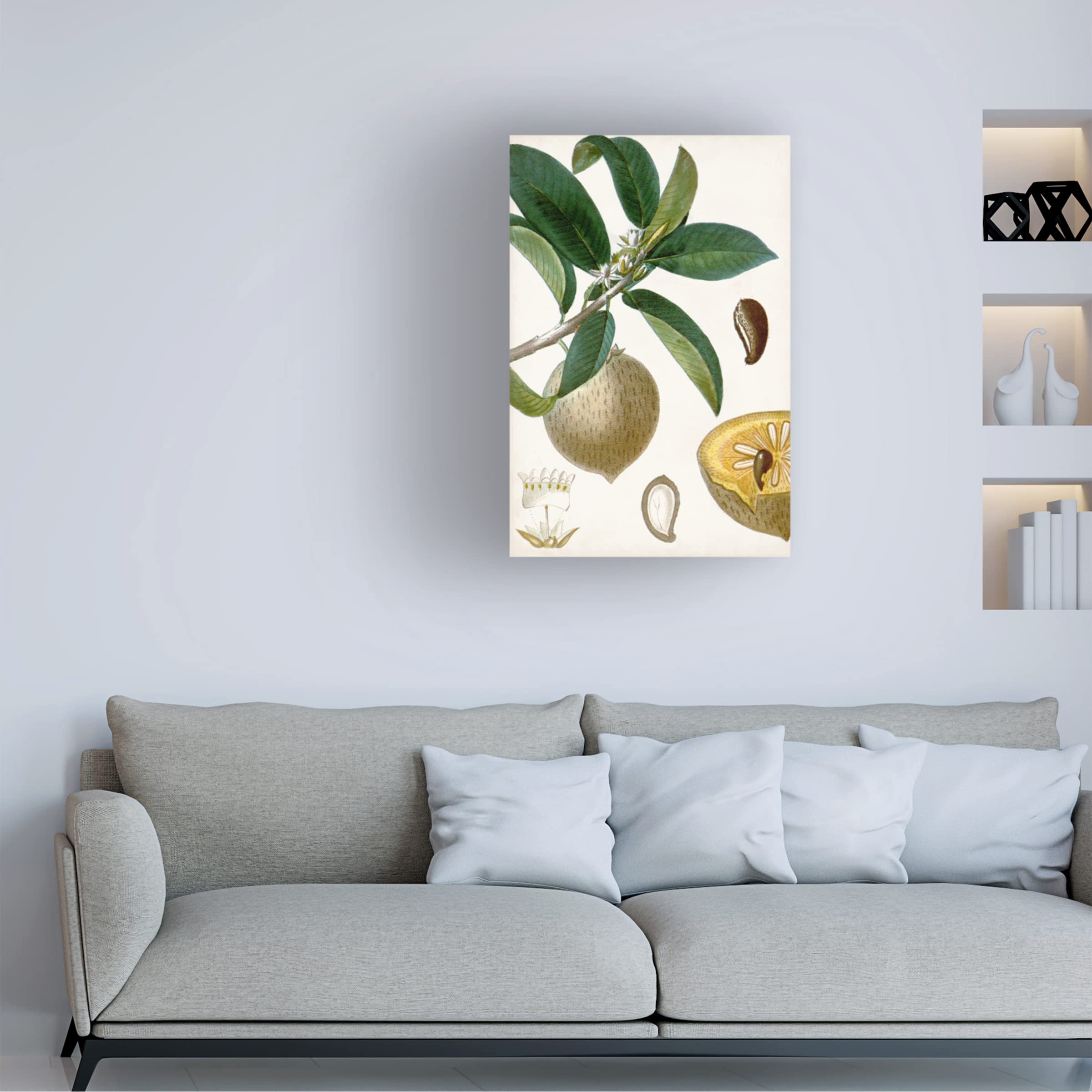Trademark Fine Art 'Turpin Tropical Fruit I' Canvas Wall Art Print - Vibrant Tropical Fruit Painting for Home & Office Decor, Living Room, Bedroom, Kitchen