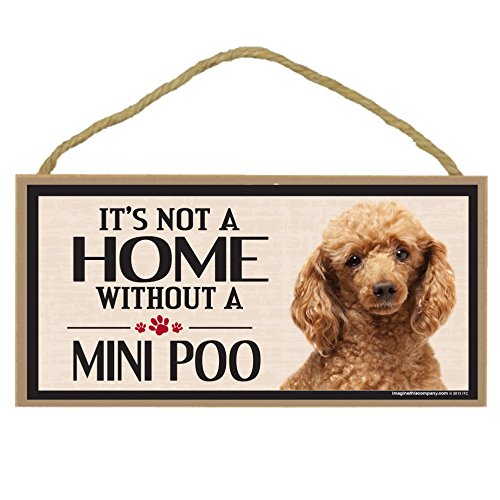Mini Poo