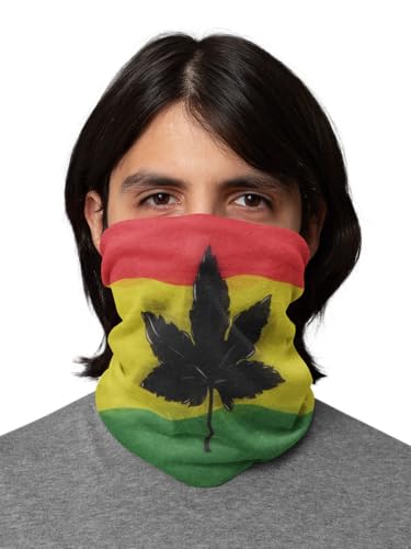 Red Yellow Green Leaf