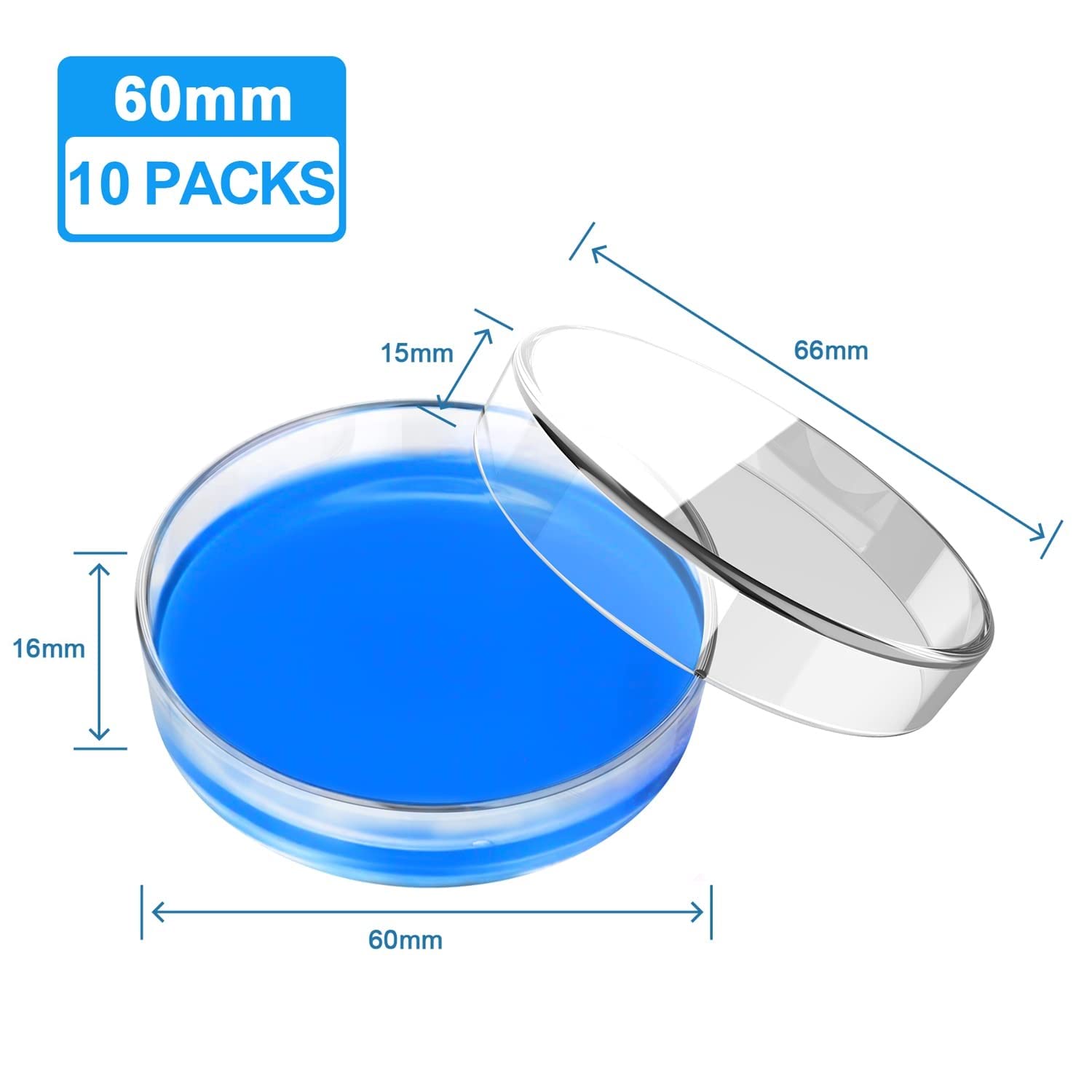 60mm Glass Petri Dishes with Lids - 10 Pack Autoclavable Lab Petri Plates with Inoculation Loop | Reusable Culture Dishes for Agar Plates, Mushroom Cultivation & Science Experiments | Perfect for Microbiology Labs, School Projects & Home Science Kits