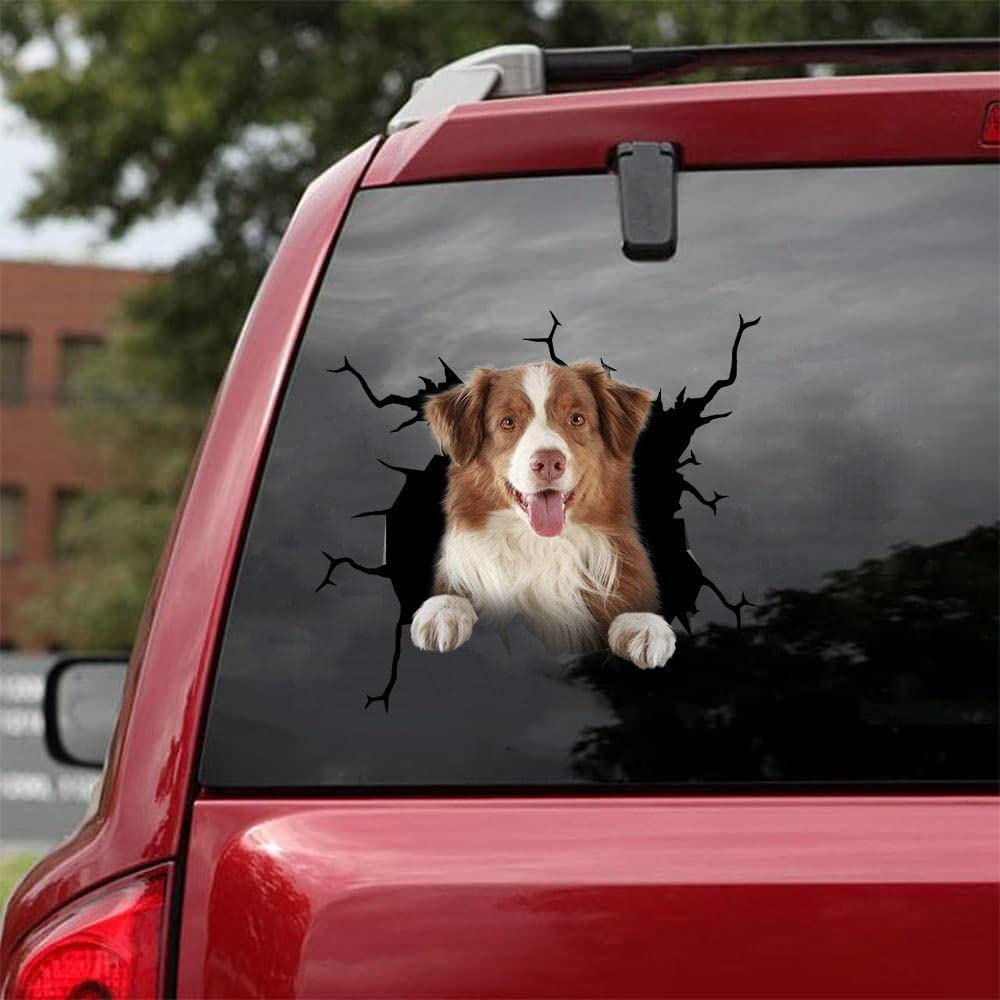 3D Border Collie Broken Glass Car Window Sticker - Clear Vinyl Decal for Bumper & Window Decor - Funny Chocolate White Border Collie Cracked Transparent Car Decals - Perfect for Car Lovers, Pet Owners & Pranksters