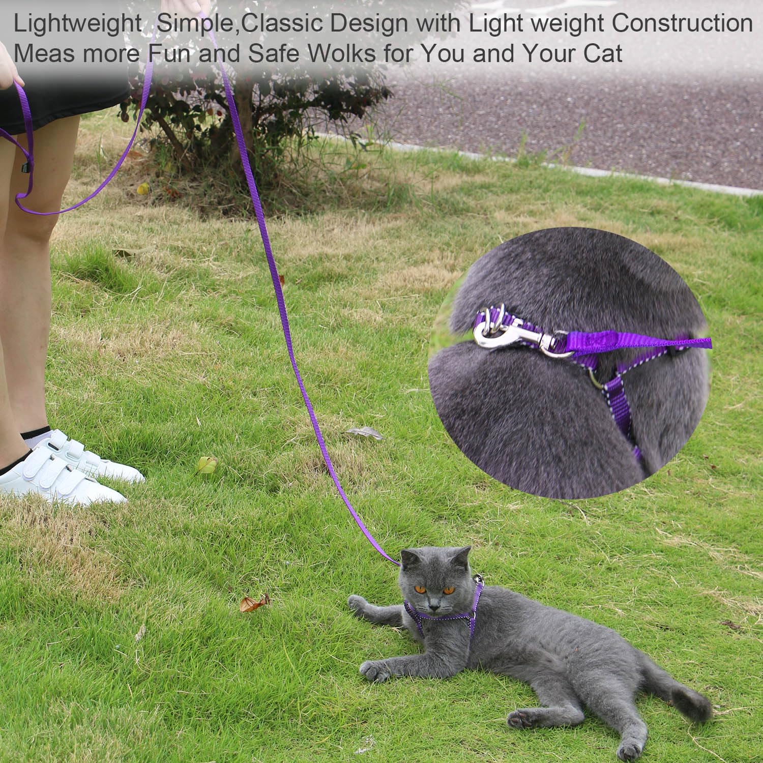 AMAGOOD 6 FT Cat Leash - Strong & Durable Traditional Style Pet Leash with Easy-Use Collar Hook - Perfect for Walking & Training Cats (3/8 in x 6 ft, Black & Purple 2-Pack) - Ideal for Outdoor Adventures, Vet Visits & Daily Walks