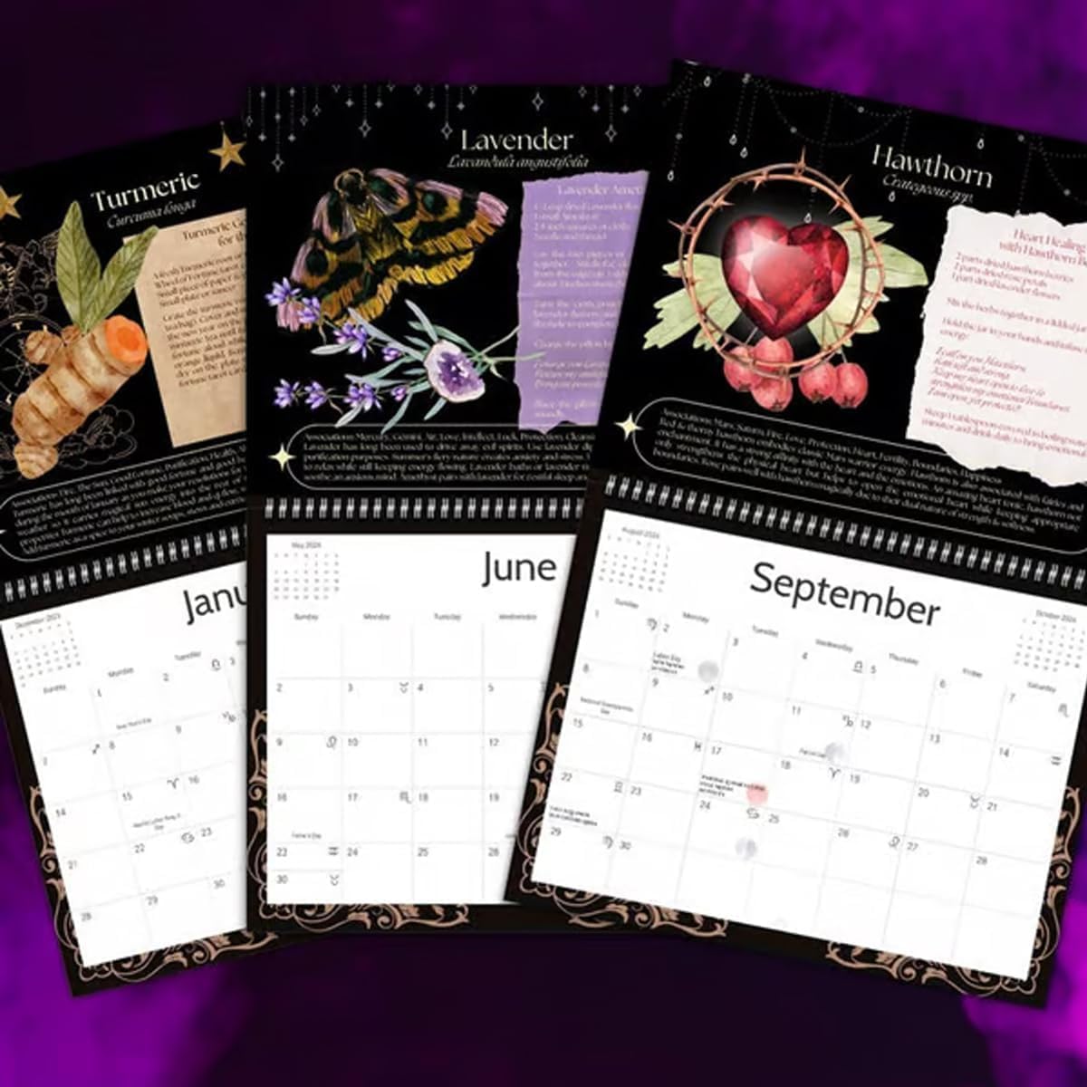 2025 Magical Herbs Calendar - 12 Month Seasonal Herbal Recipe & Spell Ritual Planner for Herbalists and Plant Lovers | Perfect for Kitchen Decor, Witchcraft Practice & Gift Giving