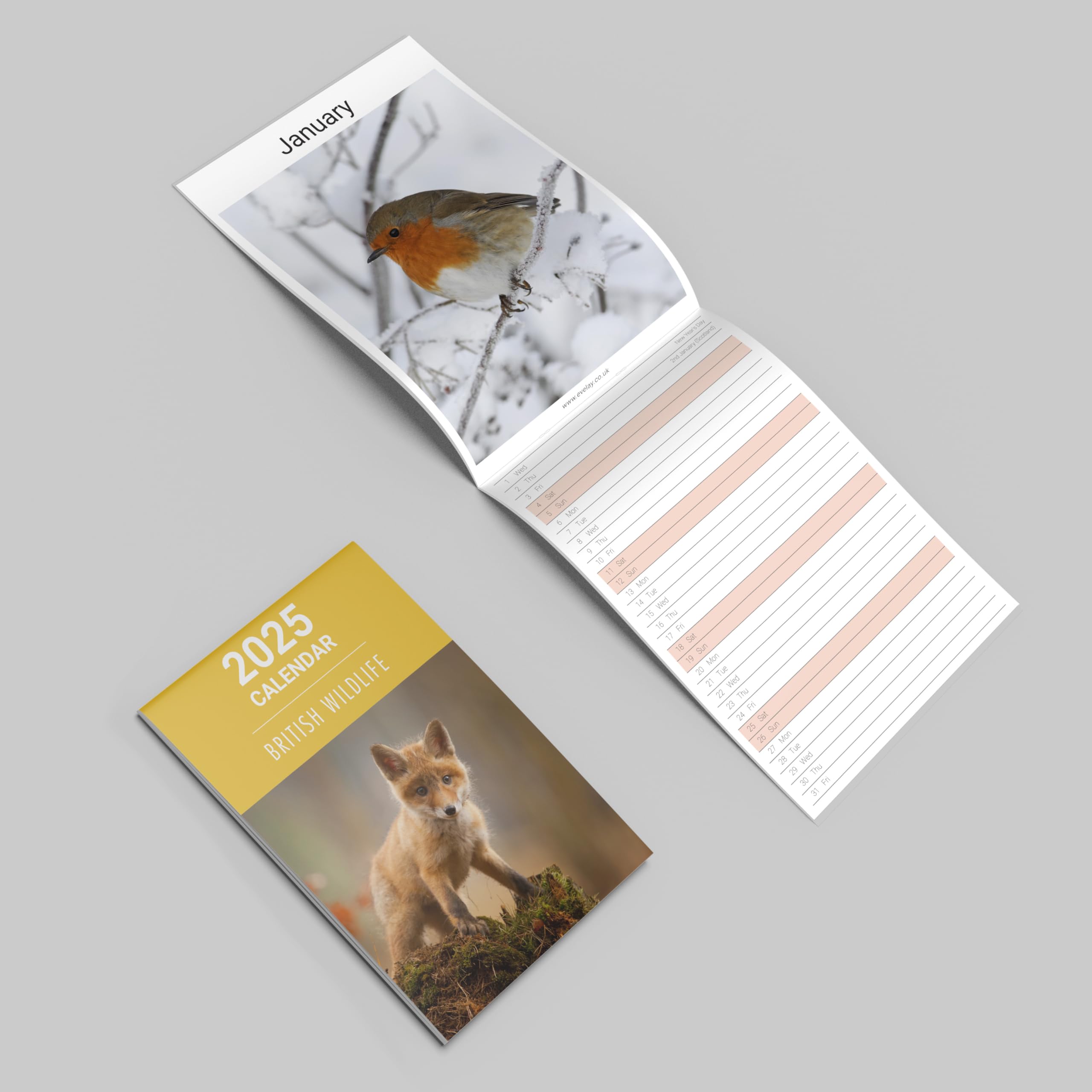 Evelay 2025 British Wildlife Wall Calendar - Slim Monthly Planner with UK Holidays | Family Organizer, Home & Office Decor | Perfect for Gift, Planning & Nature Lovers