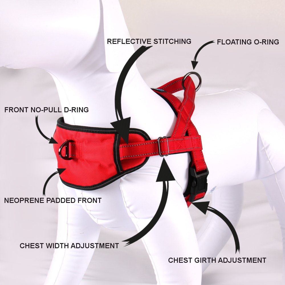 Max & Neo Reflective Dog Harness with Passport Pocket - Small Red Safety Vest for Night Walks & Outdoor Adventures (1 Harness Donated to Dog Rescue per Purchase) - Perfect for Evening Jogs, Hiking & Travel