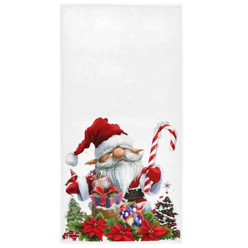 Christmas Gnome