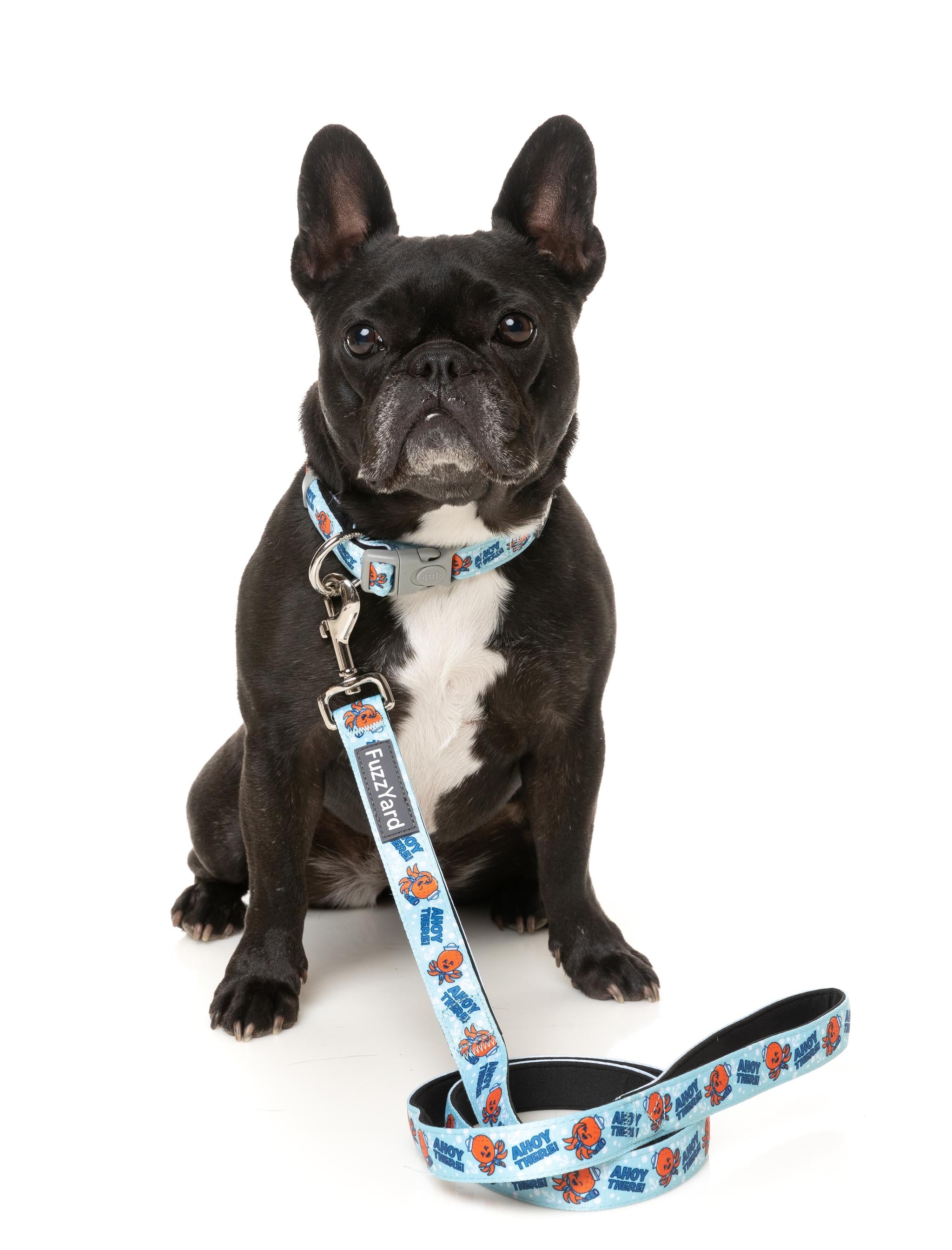 FuzzYard Ahoy There! Nautical Dog Collar - Adjustable Pet Collar with Boat Anchor Design for Small Medium Large Dogs - Perfect for Beach Walks, Boating & Summer Adventures