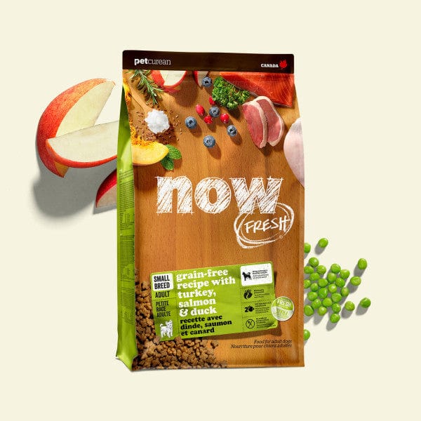 Now Fresh Turkey, Salmon & Duck Recipe Small Breed Adult Dry Dog Food - Grain-Free Protein Rich Kibble for Small Dogs - Perfect for Indoor & Active Lifestyles