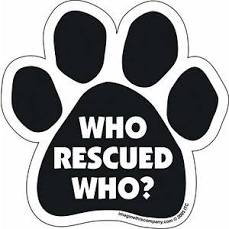 Who Rescued Who Paw Magnet - Funny Dog Rescue Car Magnet for Pet Lovers - Perfect for Vehicles, Fridges & Metal Surfaces