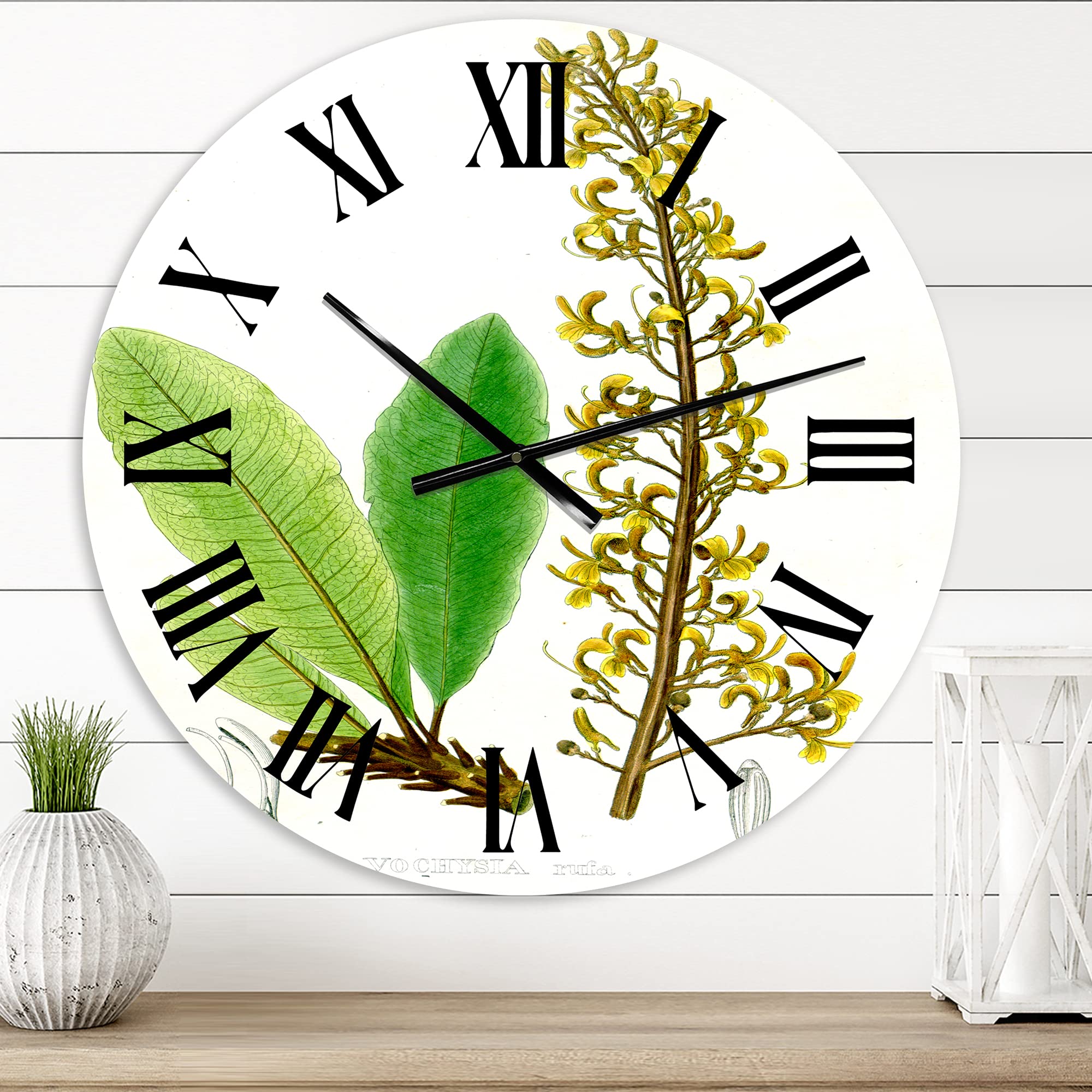 Vintage Brazilian Plant IV Floral Botanical Large Wall Clock - Traditional Kitchen Decor for Home, Living Room, Office | Perfect for Farmhouse, Rustic & Vintage Style Interiors