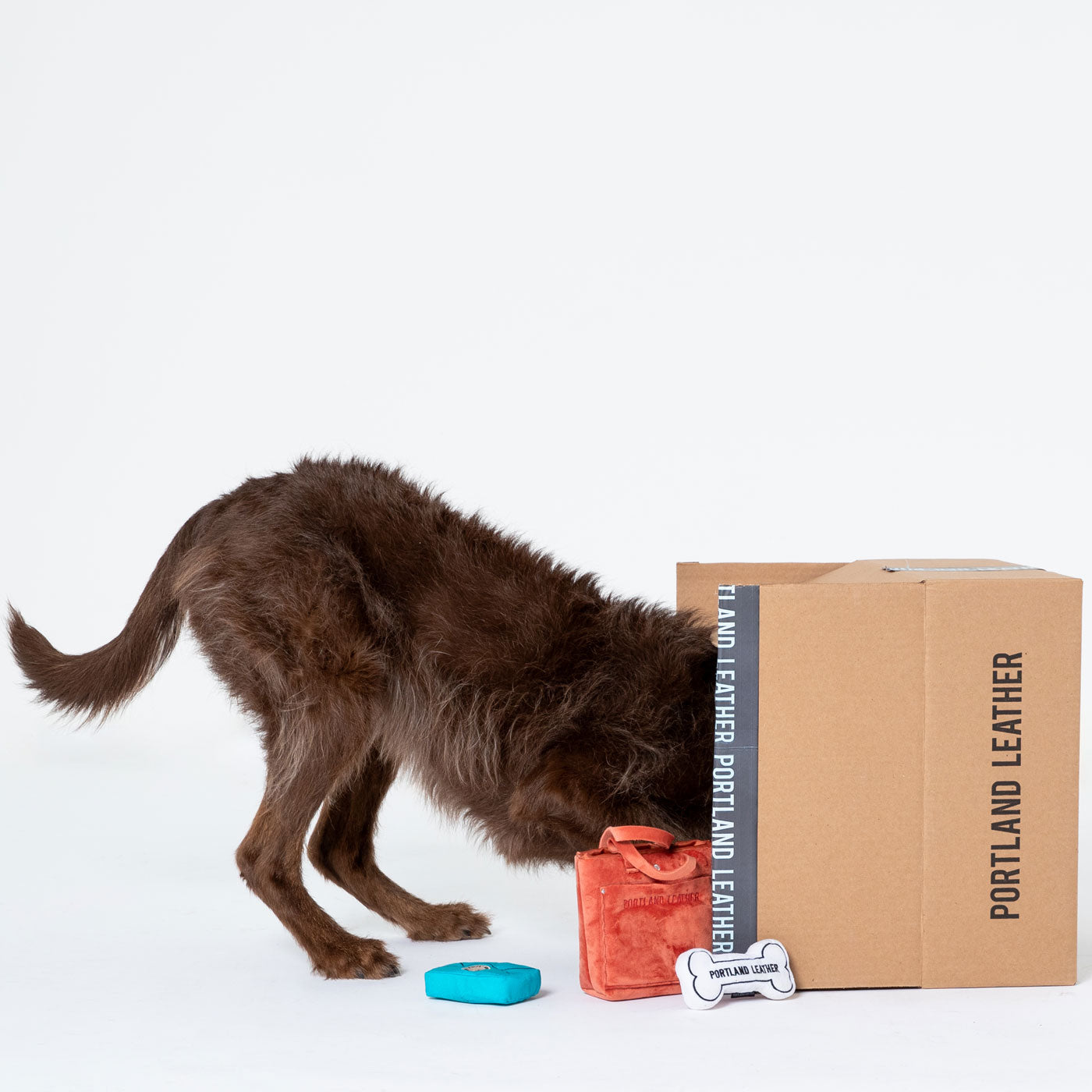 Durable Dog Toy Set for Chewers - Interactive Puppy Toys for Small & Large Dogs - Perfect for Indoor & Outdoor Playtime