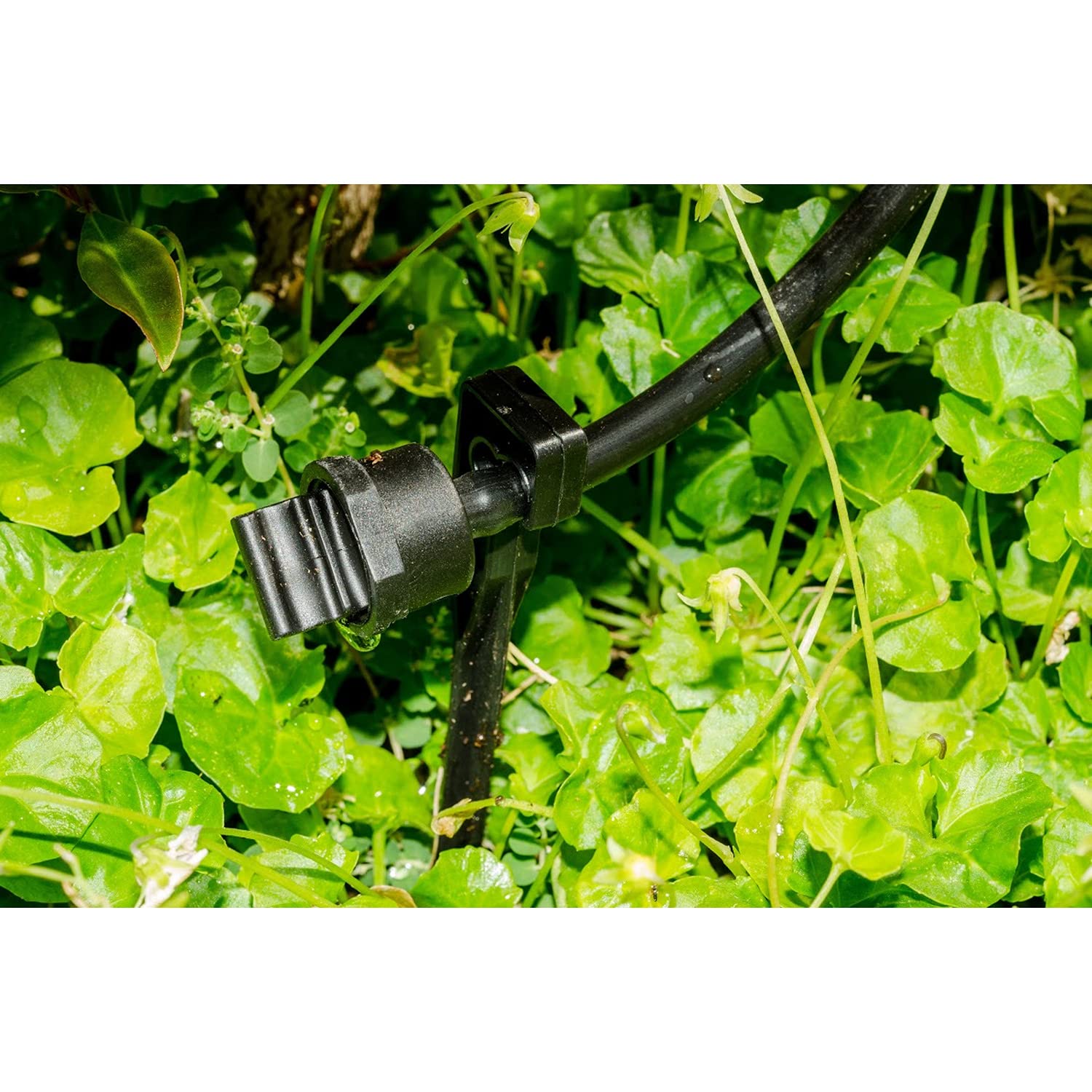 Genesis Greenhouse Dripper Kit - Automatic Plant Watering System for Indoor/Outdoor Gardens, Hydroponics & Greenhouses | Durable Irrigation Equipment for Vegetables, Flowers & Herbs | Perfect for Home Gardening & Commercial Use