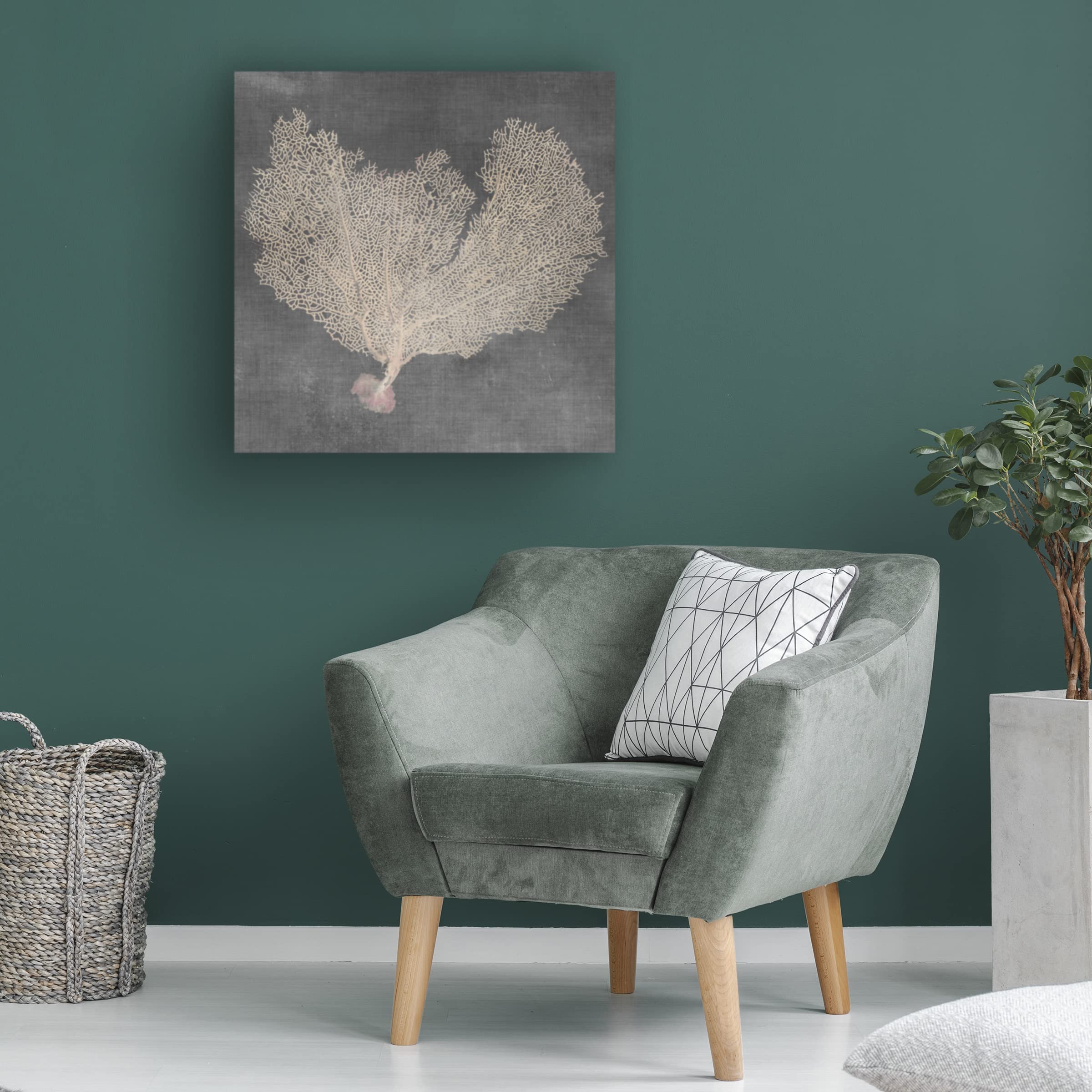 Trademark Fine Art 'Natural Sea Fan VI' Canvas Wall Art by Vision Studio - Perfect for Living Room, Bedroom & Office Decor