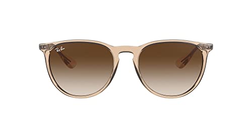 Transparent Light Brown/Brown Gradient Dark Brown