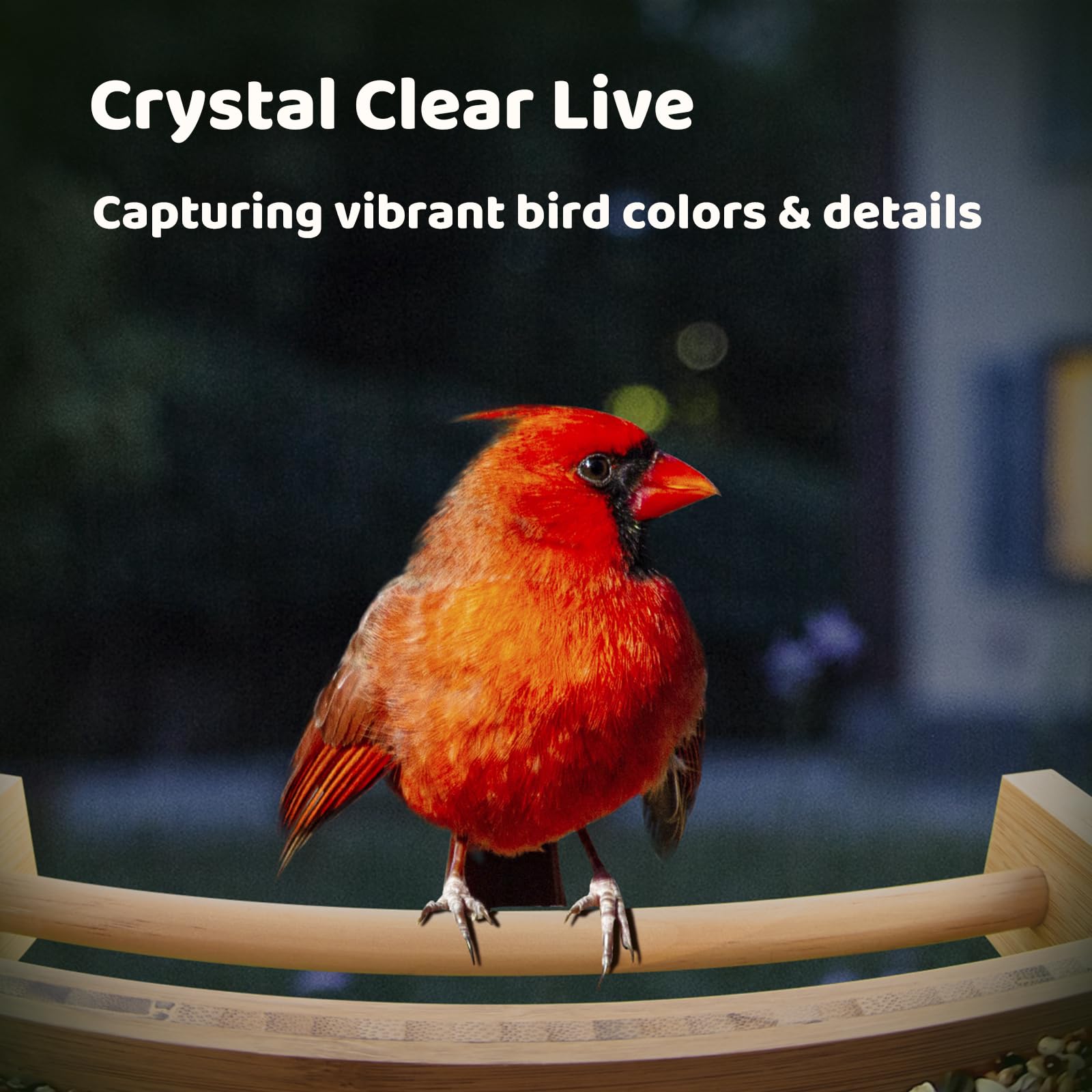 NETVUE by Birdfy AI Smart Bird Feeder with Camera - Solar Powered, 6000+ Bird Species Recognition & Motion Detection - Upgraded Bamboo Wood Design - Perfect for Bird Watching, Garden Monitoring & Nature Lovers - Great Gift Idea for Bird Enthusiasts