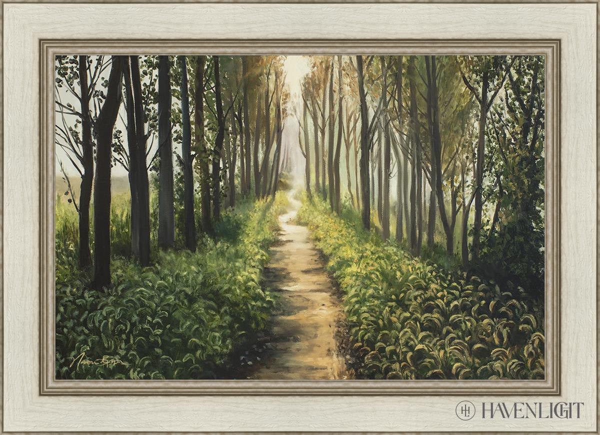 Forest Walkway - Beautiful Wooden Pathway for Gardens, Parks & Trails | Perfect for Outdoor Decor & Nature Walks