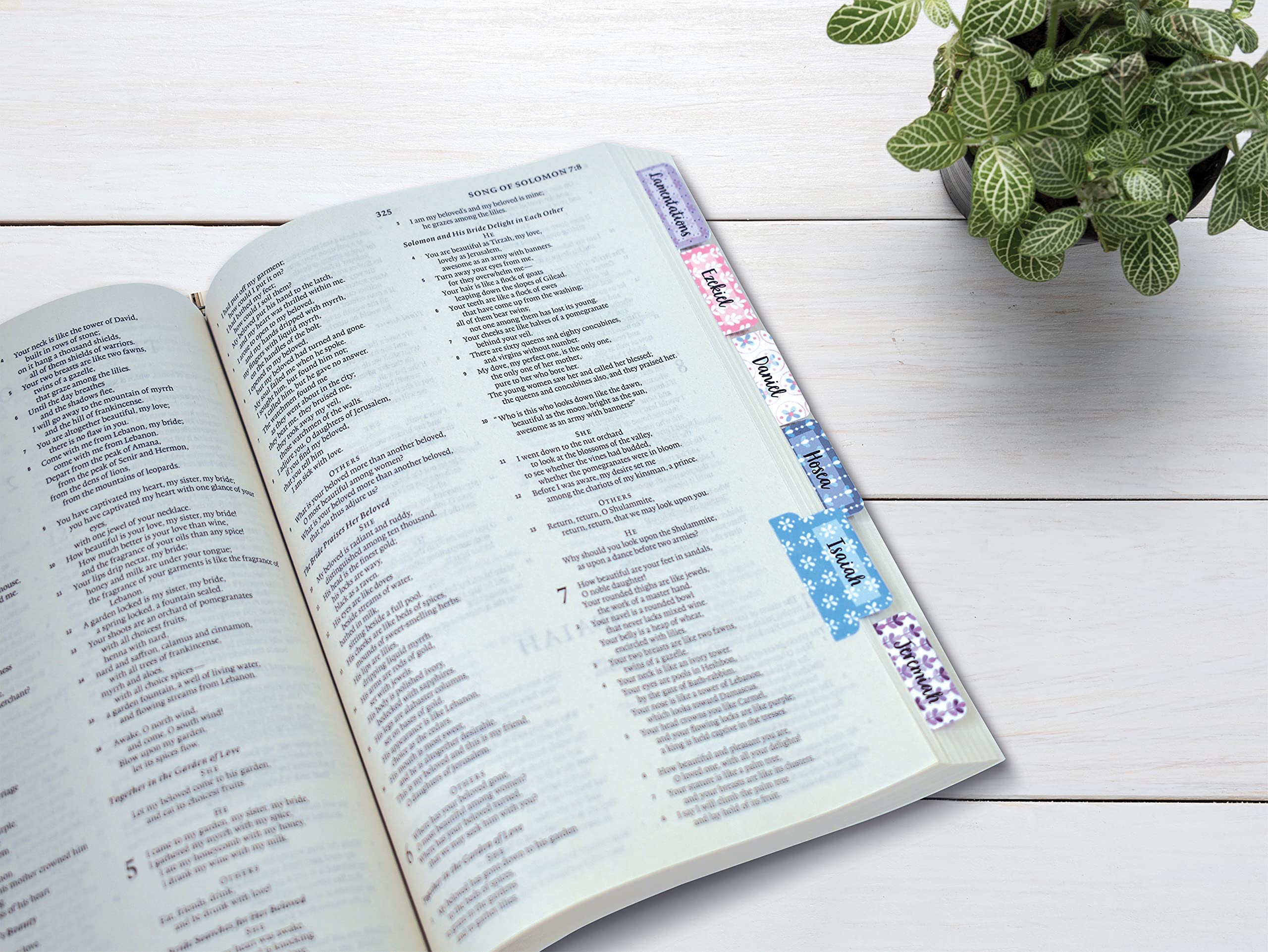Better Office Products Bible Tabs - 225-Piece Christian Bible Journaling Adhesive Tabs for Old & New Testament (3 Sets, Harmonious Themed Backgrounds) - Perfect for Bible Study, Scripture Organization & Church Groups