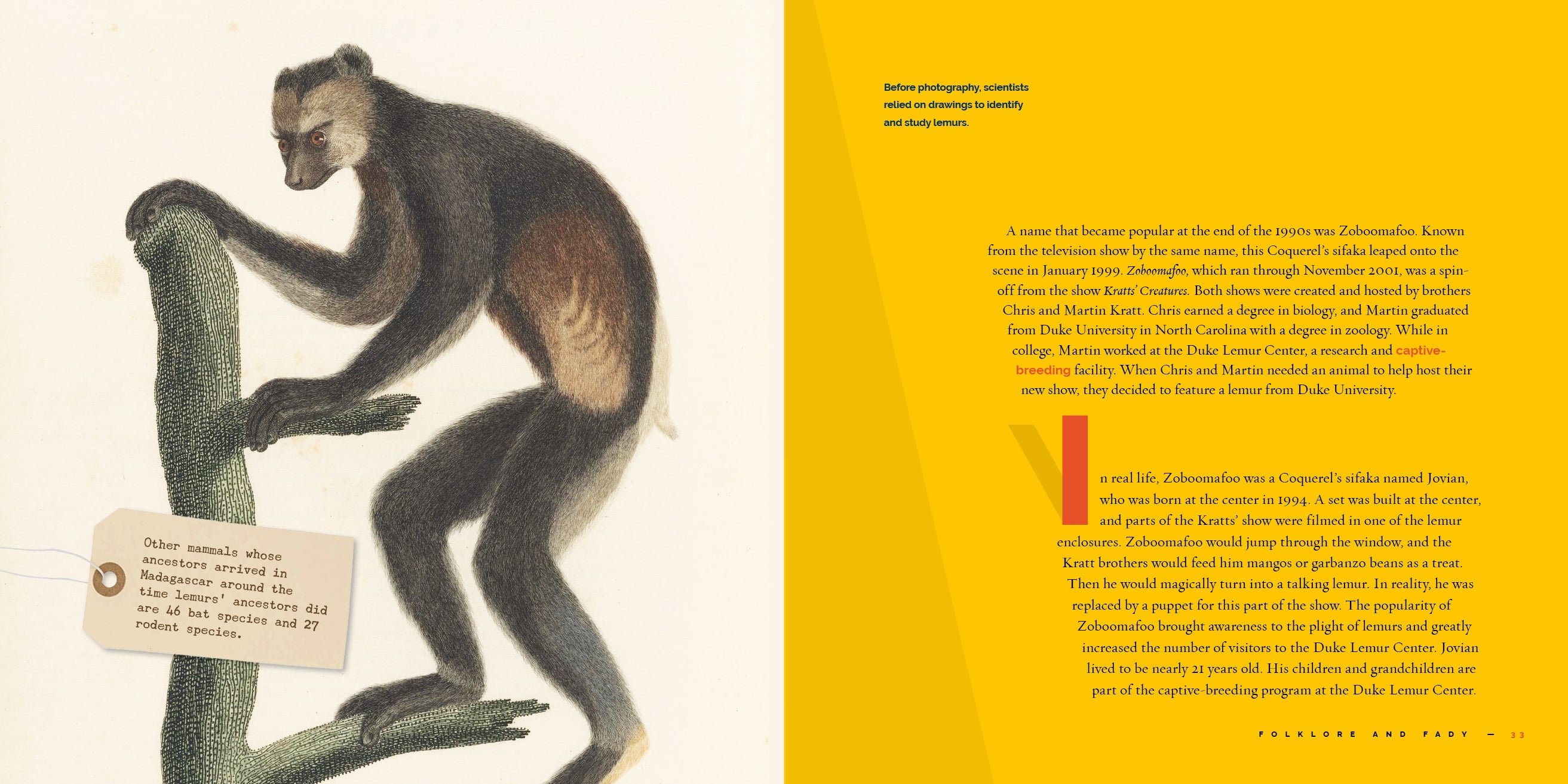 Lemurs Book 9781640267909 - Wildlife Education, Animal Facts & Nature Exploration for Kids & Adults - Perfect for School Projects, Home Learning & Animal Lovers