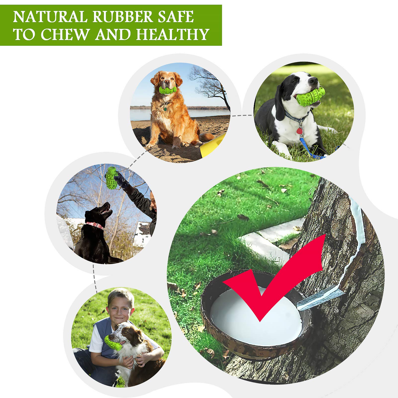Natural Rubber Dog Chew Toy for Large & Medium Breeds - Super Durable Interactive Squeaky Toy for Aggressive Chewers, Dog Toothbrush & Birthday Gift (Green, Large) - Perfect for Playtime, Training & Dental Health