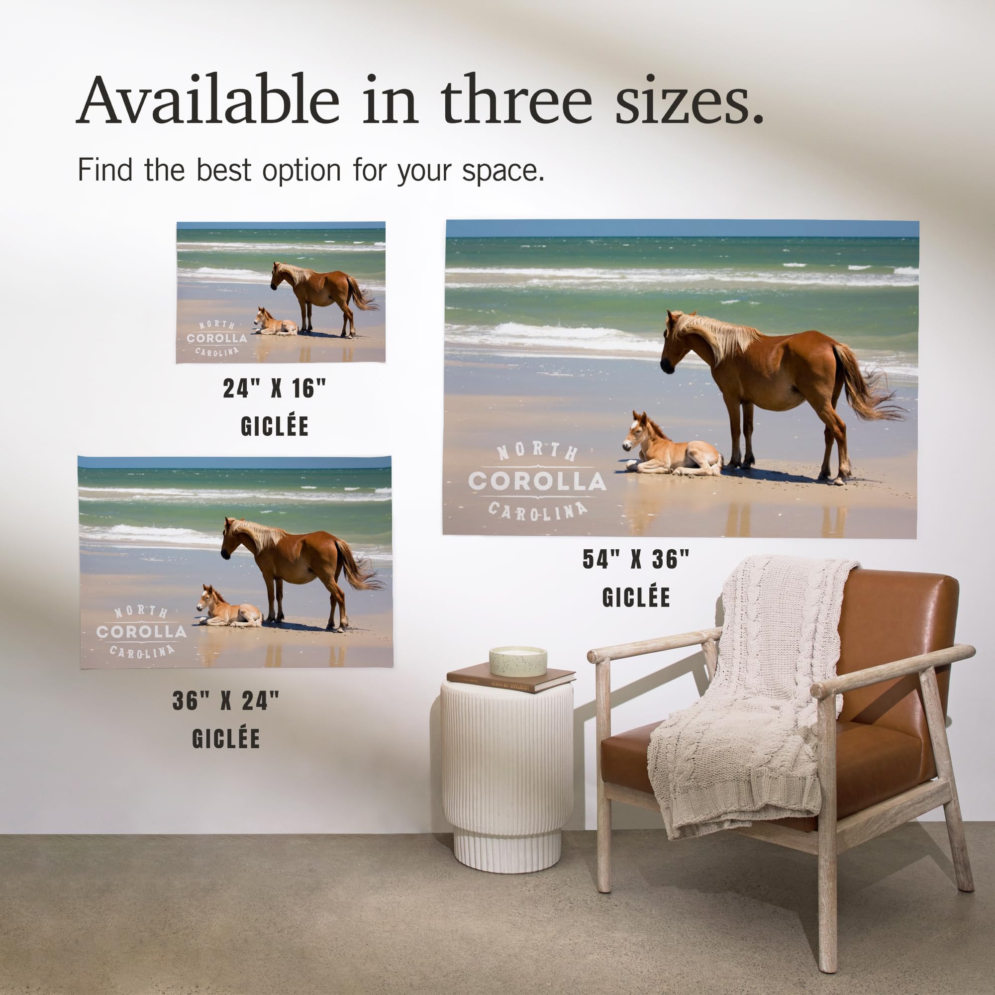 Lantern Press 16x24 Inch Giclee Art Print - Corolla NC Beach Scene with Wild Banker Ponies & Foal - Coastal Wall Decor for Living Room, Bedroom or Office