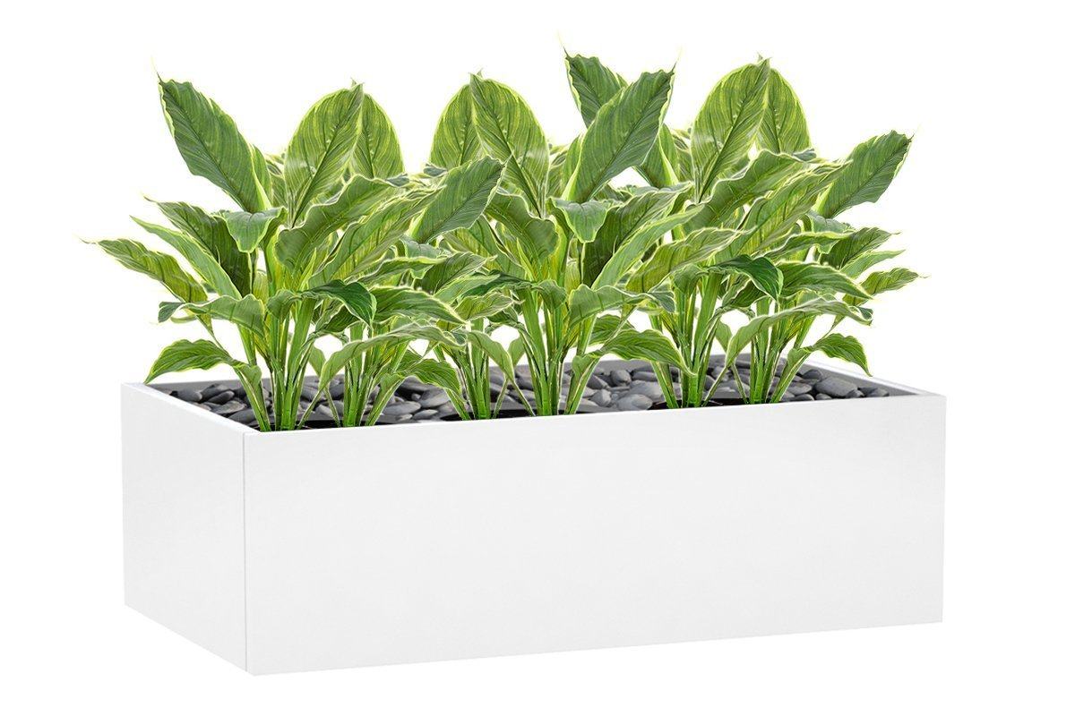 Real Touch Flora Hosta Plants in Pots - Set of 6 | Perfect for Home Decor, Office Greenery & Indoor Gardening