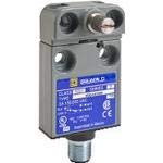 SPDT Side Lever Arm Micro Limit Switch - N.O./N.C. Rotary Screw Mount - 5A 240VAC 28VDC (9007MS04S0084) - Ideal for Industrial Automation, CNC Machines & Control Panels