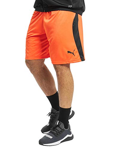 Golden Poppy-puma Black