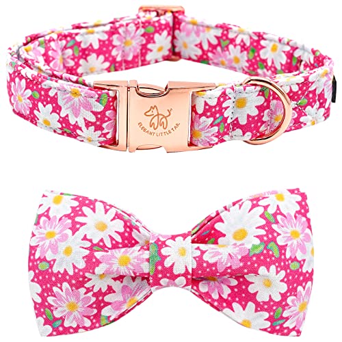Pink Floral
