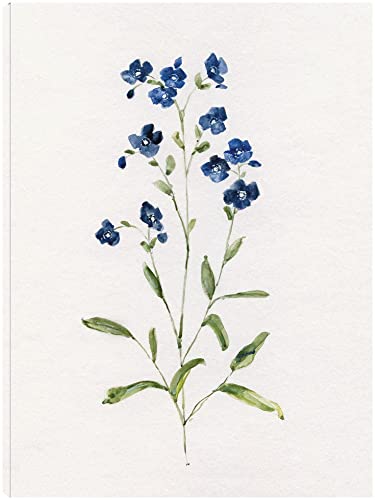 Petite Blue I